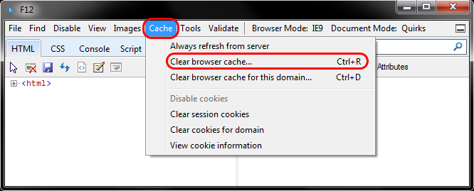 Cache > Clear Browser Cache...
