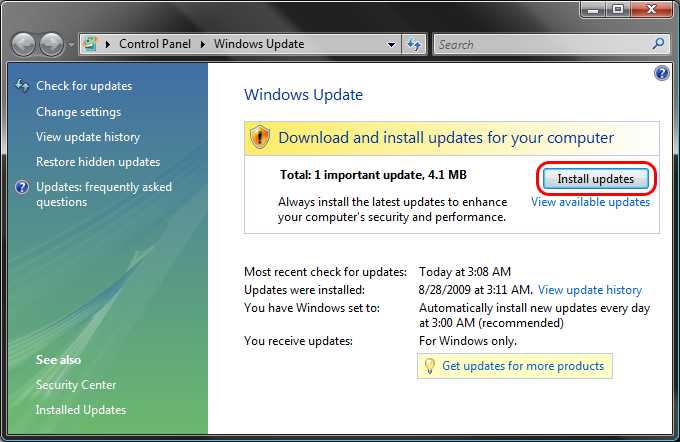 Vista Install Updates