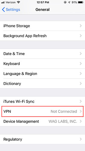 Go to the general settings and find the VPN section.
