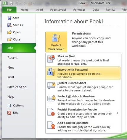 In the Permissions section, click Protect Workbook and select Encrypt with Password.