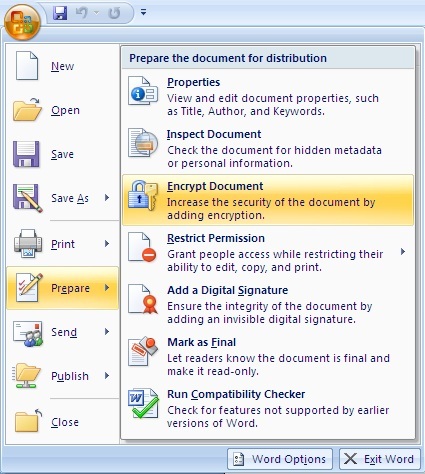 Click the Microsoft Office Button, point to Prepare, then click Encrypt Document.