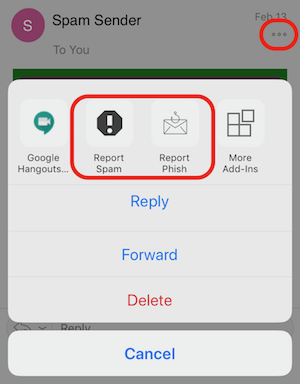 iOS report spam