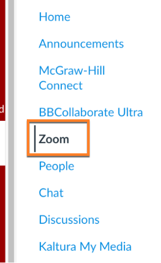 Canvas sidebar with Zoom highlighted