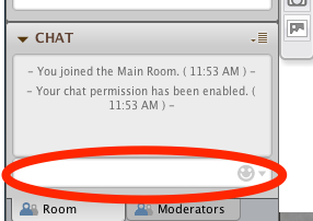 Chat Text Chat Text