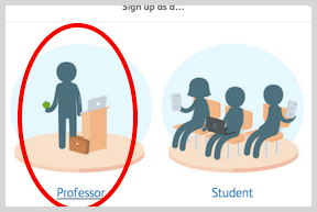 Professor option