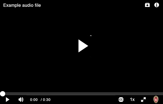 A screenshot of the "Main audio player" (34303911) A screenshot of the "Main + download audio player" (34303911)