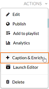 A screenshot showing the user having clicked on "Actions" and hovering over "Captions & Enrich" which is outlined in orange.