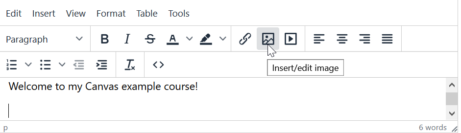 Canvas Rich Content Editor is displayed, with "insert/edit image" icon highlighted