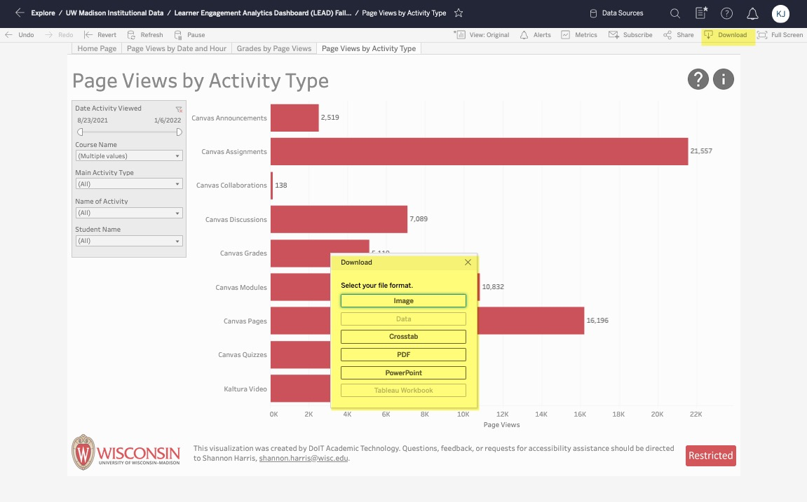 The download menu is open over a "page views by activity type" visualization, showing download options available