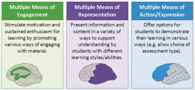 Principle 1 is Multiple Means of Engagement. Stimulate motivation and sustained enthusiasm for learning by promoting various ways of engaging with material. Principle 2 is Multiple Means of Representation. Present information and content in a variety of ways to support understanding by students with different learning styles or abilities. Principle 3 is Multiple Means of Action or Expression. Offer options for students to demonstrate their learning in various ways. One example of this is to allow students to choose the type of assessment.