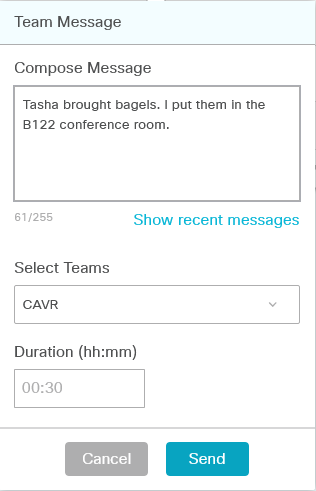 Team Message Window