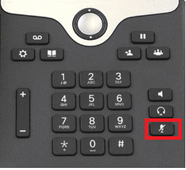 Mute Button Key