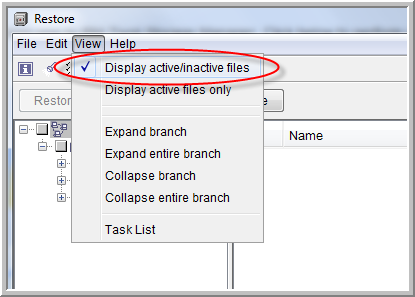 display active inactive files