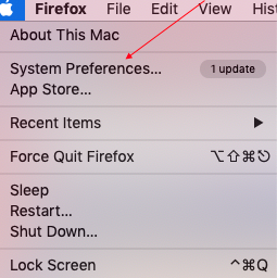 System Preference window Mac