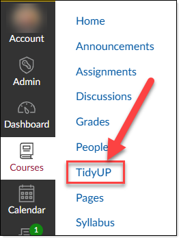 screenshot of Canvas Course with arrow pointing at TidyUp in the navigation