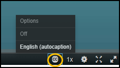Bottom portion of a Kaltura video player screen with the "CC" closed captions button highlighted and the menu option for "English (autocaption)" displayed.
