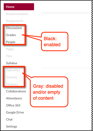 Black and gray items on the Course Navigation Menu.