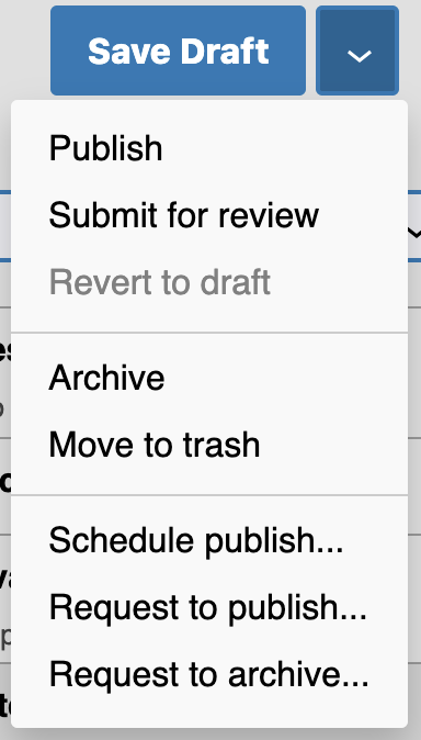Screenshot of the publish dropdown options described below