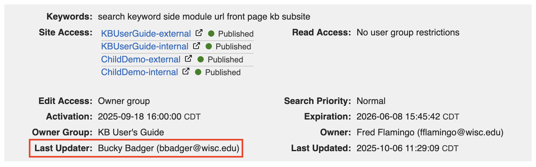 Last Updater is the second-to-last entry in the document information section. It displays the user's full name and email address.