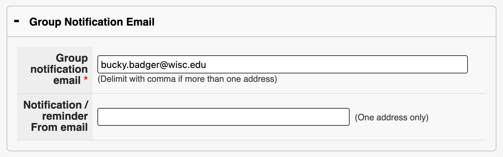 The group notification email is the first field under this panel.