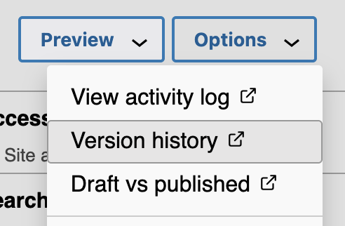 Version history is the second item under the Options dropdown.