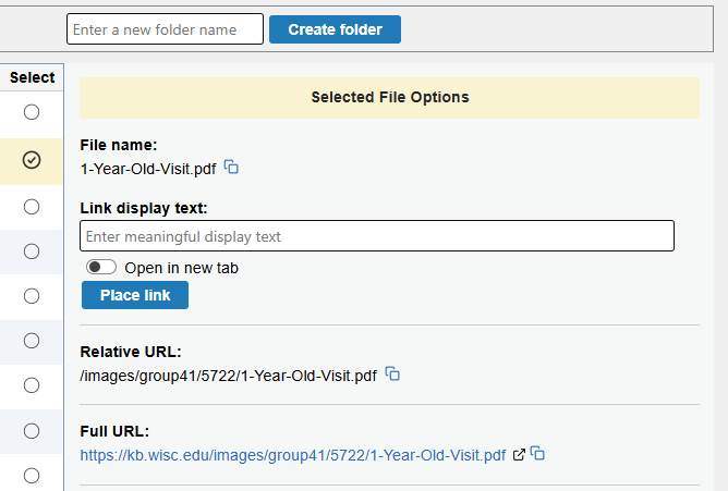 The attachment options for placing a file link are displayed