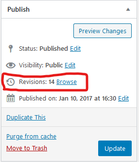 Revisions section in page editor interface