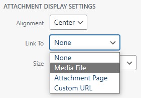 Choosing the Link To option for the media file