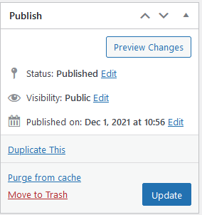 Updated publish section is visible, where you can update or preview the changes you want to make.