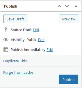 Publish options section, where you can save drafts, preview, and publish your current page