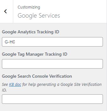 Display fields for entering Google Service codes and IDs, including the Google Analytics field