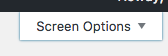 Screen Options tab on post