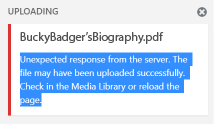 Error received within Media Library