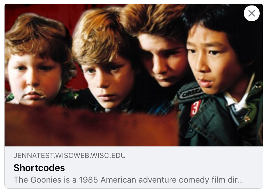 An image of three children followed by some text with a heading of Shortcodes and a description of the film the Goonies