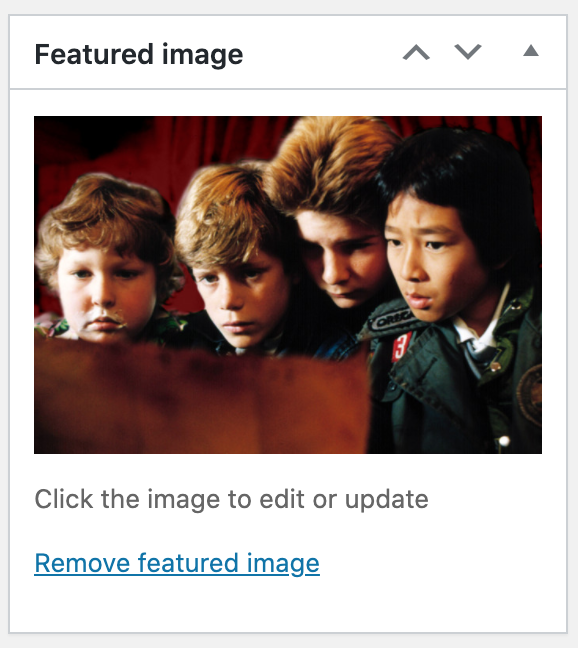 Box with heading of Featured Image with an image of three children below, along with some text.