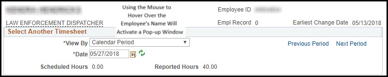 Timesheet Fields Timesheet Fields