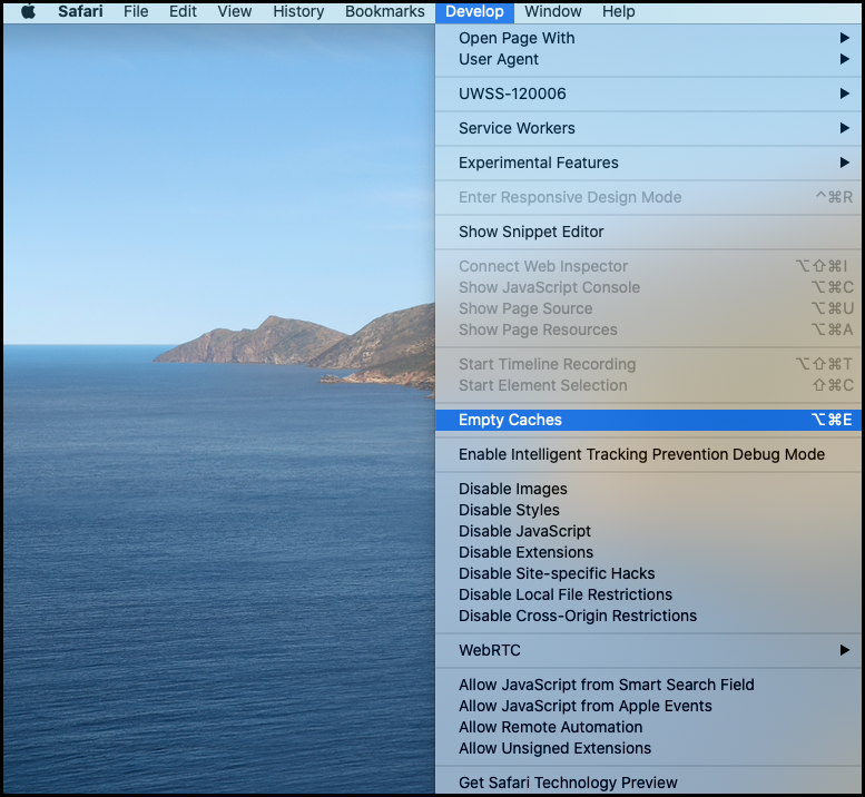 Clear Cache Safari