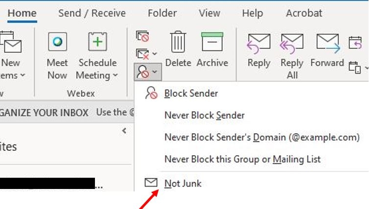 not junk link